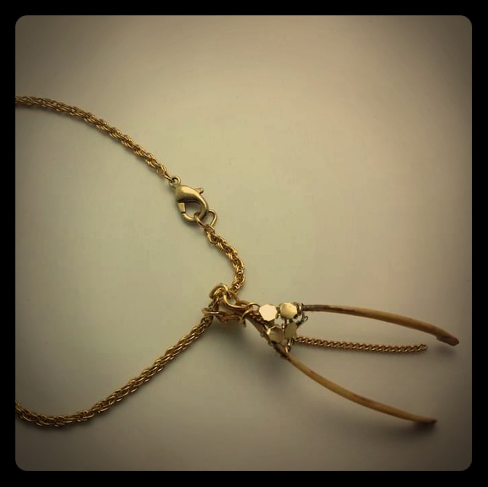 WishBone Necklace